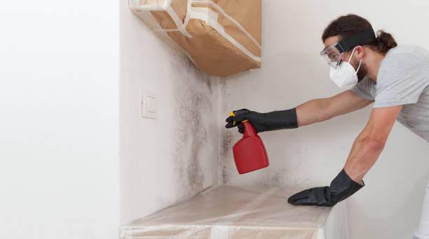 Professional Mold Remediation technician working in Hicksville, NY