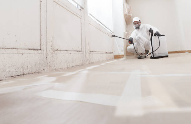 24/7 Emergency Mold Remediation experts in Hicksville, NY