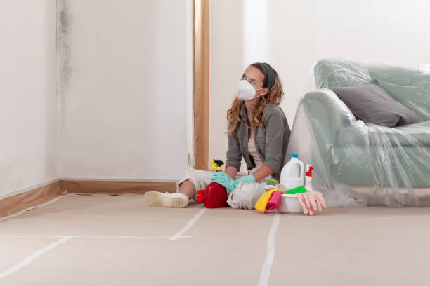 Reliable Mold Remediation contractor in Hicksville, NY by 24 Hour Mold Removal